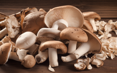 The Nutritional Properties of Popular Mushrooms